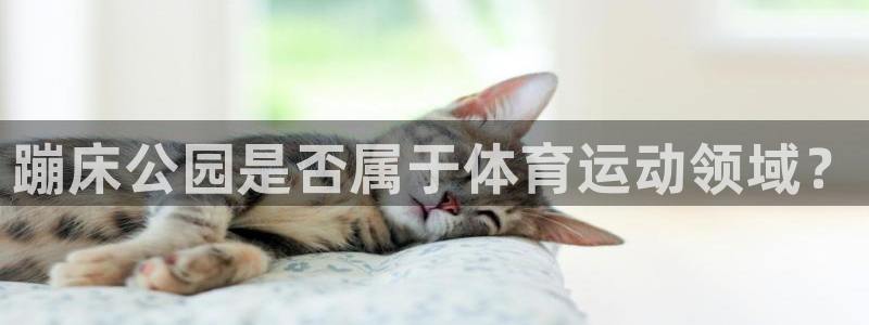 成都意昂电子有限公司