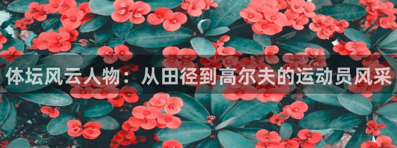 意昂平台注册
