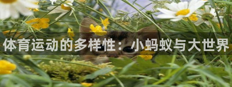 意昂体育注册代理