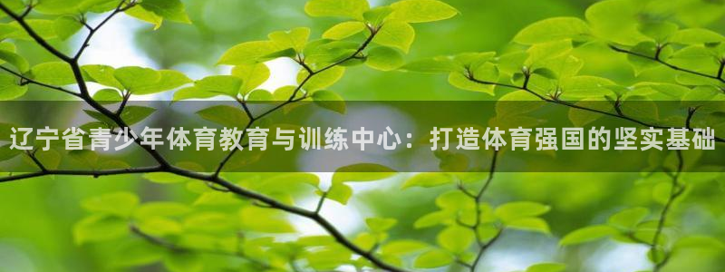 杏悦体育注册代理