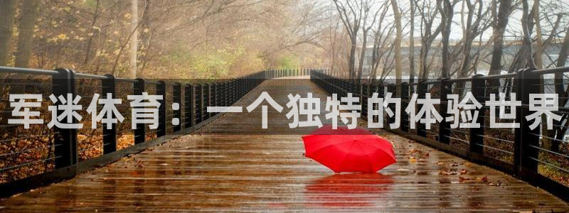 杏悦4开户