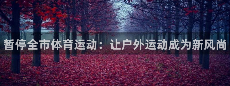 杏悦体育游戏