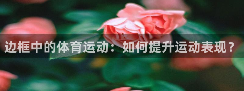 意昂3