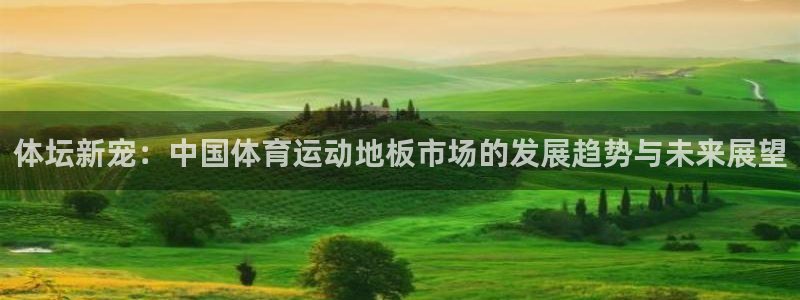 杏悦体育官网注册