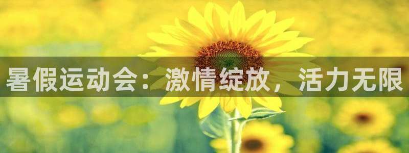 杏悦体育游戏
