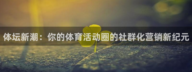 杏悦2平台