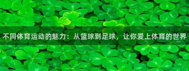 杏悦体育代理