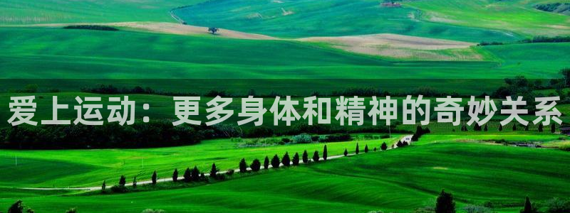 杏悦体育注册