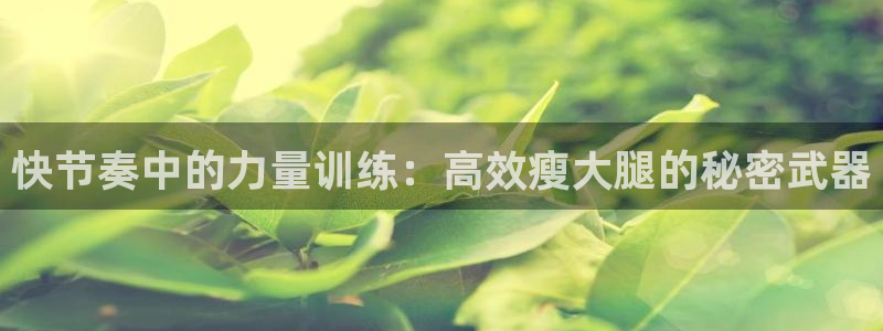杏悦f凯捷平台在线注册
