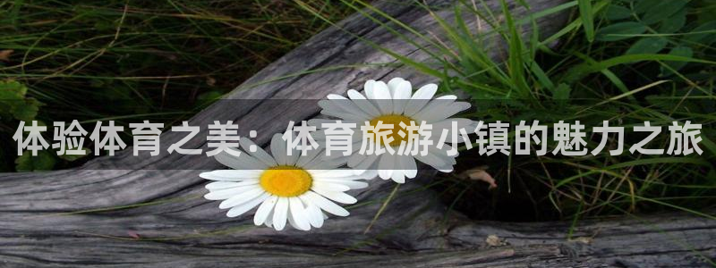 意昂集团