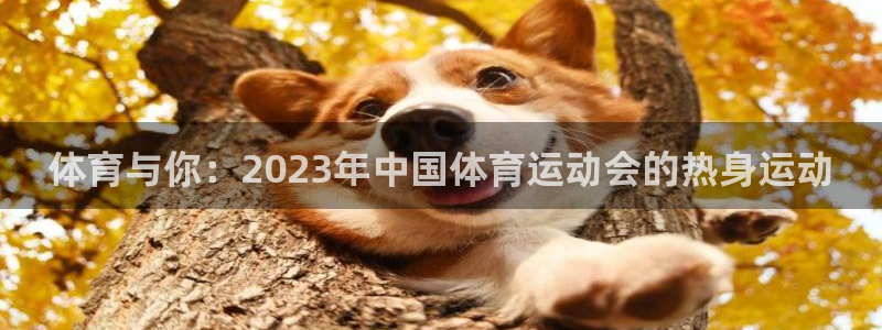 东莞市意昂电子科技有限公司