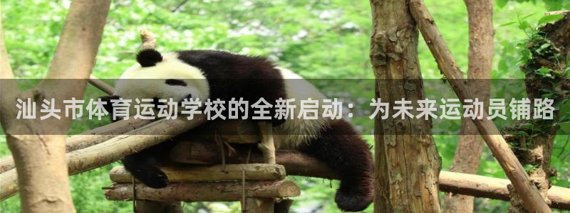 意昂3