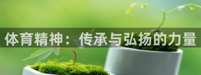 意昂体育官网登录