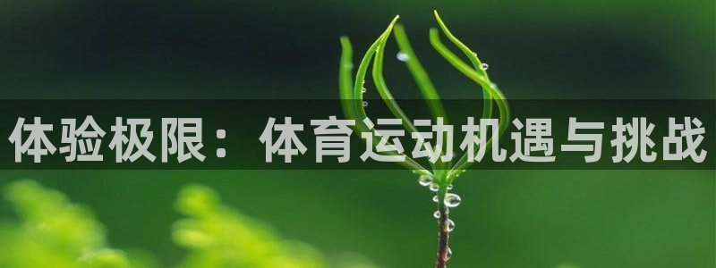 杏悦体育老板是谁