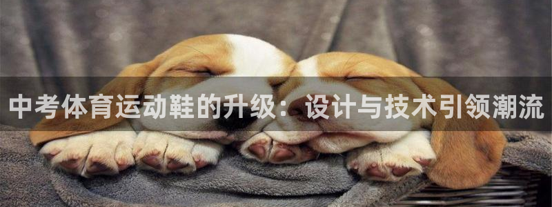 杏悦体育凯捷登陆