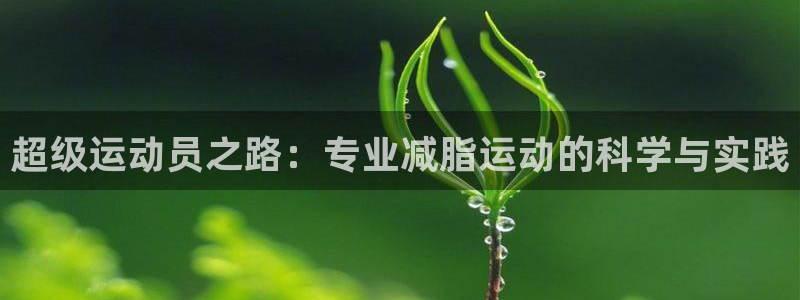 杏悦凯捷开号链接